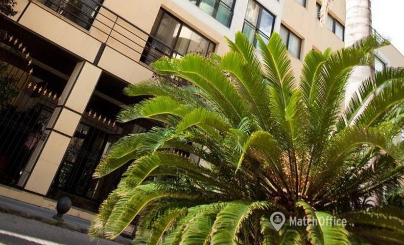 Centro de negocios Avenida Ricardo Soriano 72 29601 Málaga