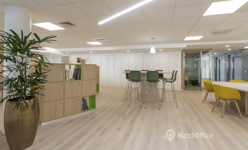 50 m² Business center in Lyon, 23 rue Crepet (69007) - 1 | MatchOffice.com