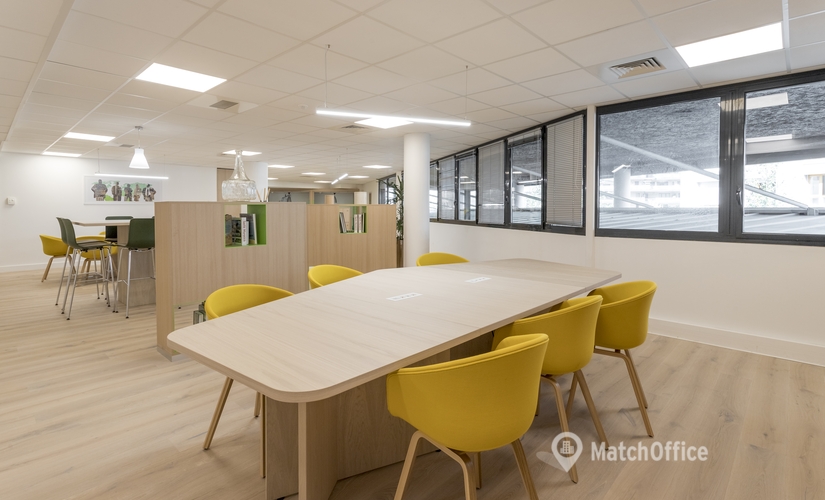 Сentre d'affaires à louer à Lyon 50 m², 23 rue Crepet - 2 | MatchOffice.fr
