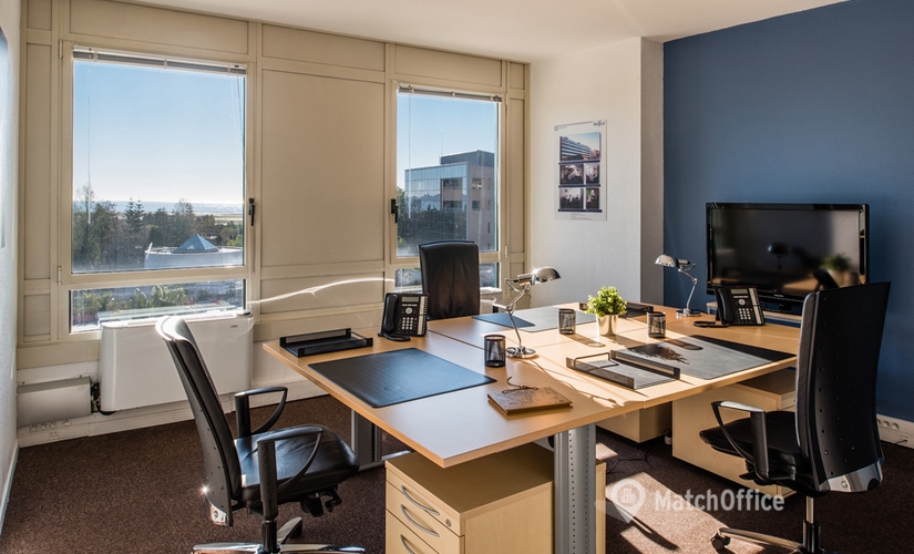 50 m² Shared office  in Nice, 455 Promenade des Anglais (06206) - 4 | MatchOffice.com