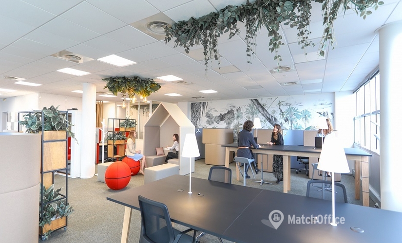 150 m² Business center in Toulouse, 5 rue du Professeur Velas Zone Europarc (31300) - 4 | MatchOffice
