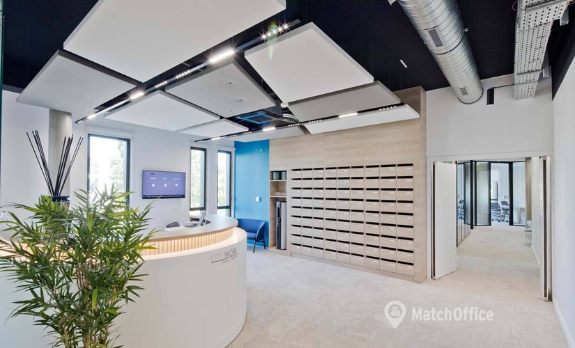 300 m² Serviced office in Lyon, 1 Route du Pérollier (69570) - 2 | MatchOffice.com