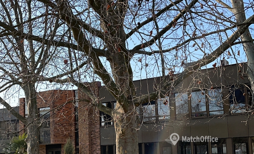 Coworking à location à Strasbourg 150 m², 2 Rue de la Faisanderie - 2 | MatchOffice