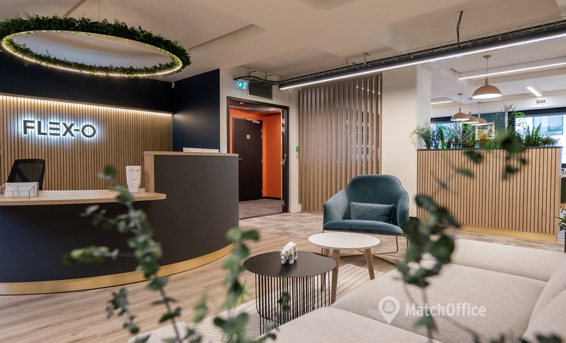 350 m² Business center in Lyon, Rue de Genève 3 (69006) - 4 | MatchOffice