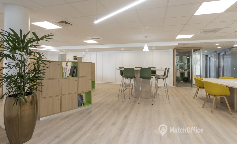 50 m² Shared office  in Lyon, 23 rue Crepet (69007) - 6 | MatchOffice.com