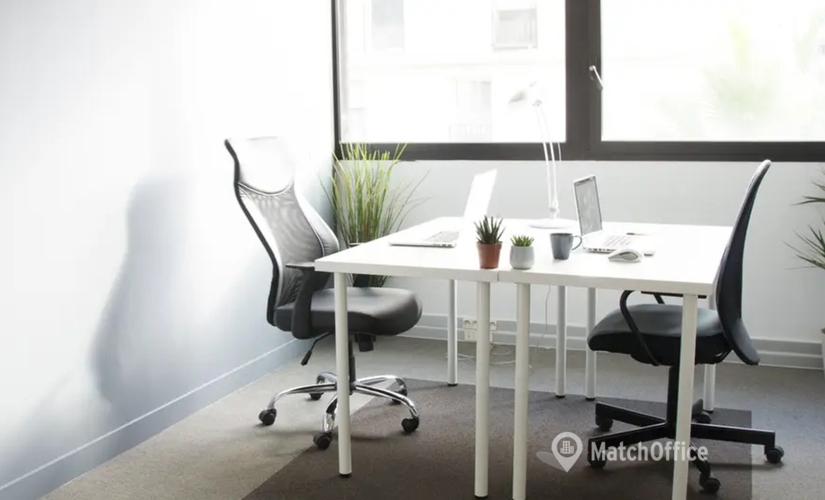 11 m² Business space in Montpellier, Place Ernest Granier 222 (34000) - 4 | MatchOffice