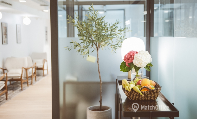 900 m² Coworking  in Paris 16, Avenue d'Iéna 49 (75116) - 3 | MatchOffice.com