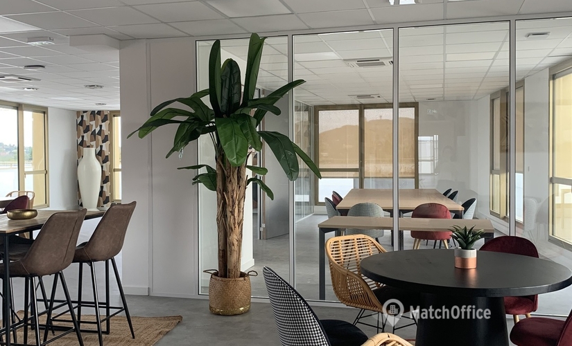 Business centers à louer à Lyon 20 m², Chemin du Tronchon 16 - 4 | MatchOffice