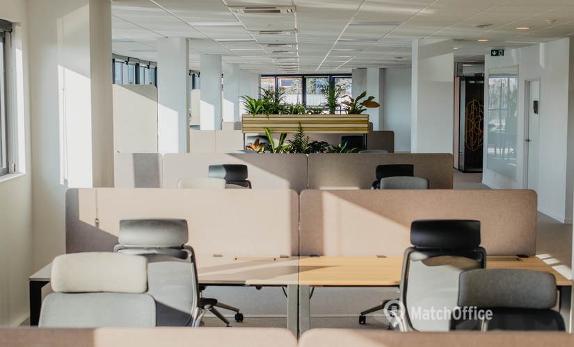 Espace de bureaux à location à Toulouse 1000 m², Rue Charles de Rémusat 33 - 2 | MatchOffice.fr