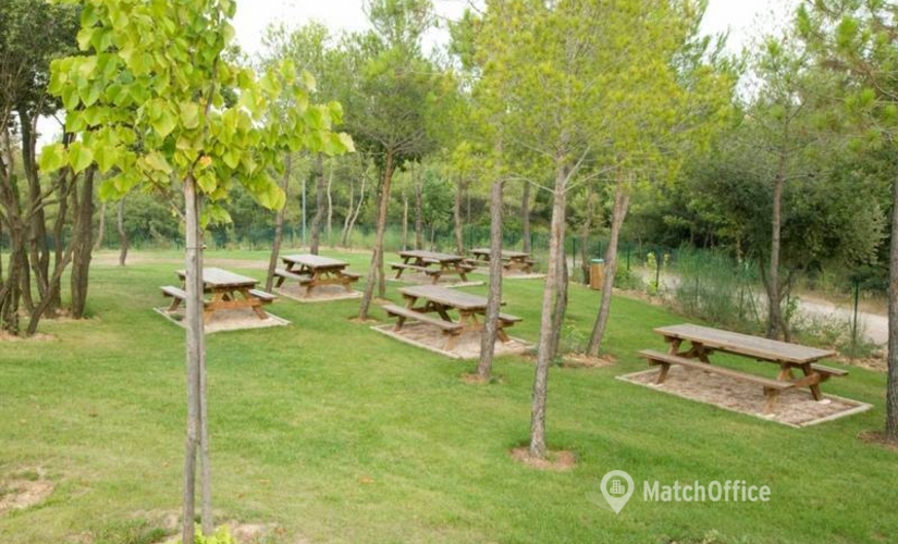 38 m² Business space in Sophia-Antipolis, 2405 route des Dolines (06560) - 12 | MatchOffice