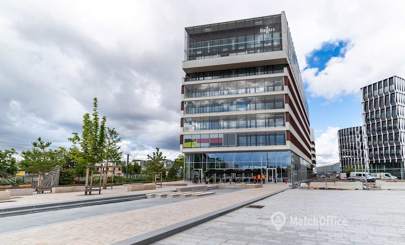 Business center 1 Esplanade Miriam Makeba 69100 Villeurbanne