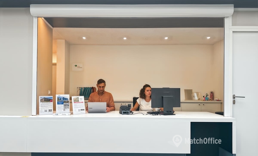 Virtual address in Lille, 11 Rue Paul Dubrule (59810) - 1 | MatchOffice