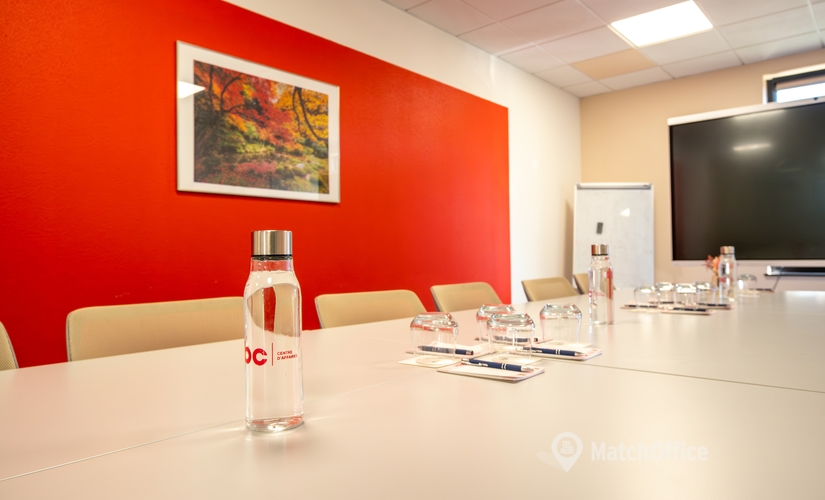 Meeting room Rue des Cigognes 3 67960 Strasbourg