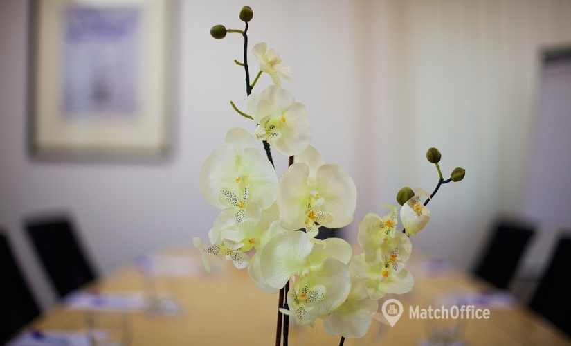 Business center Start Hill, Hertfordshire, Bishop's Stortford CM22 7WE Stansted Airport