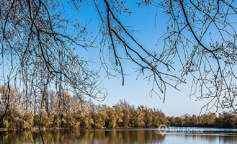 Coworkind spaces in Cambridge, Lakeview, 100 m² - MatchOffice.co.uk