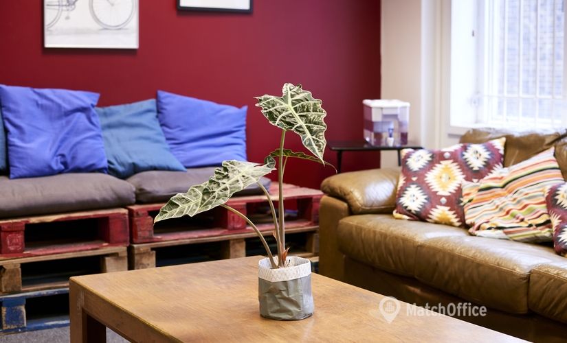 Explore flexible a 500 m² Shared office  in Camden, Grays Inn Road 160 (WC1X 8ED) - 4 | MatchOffice.com