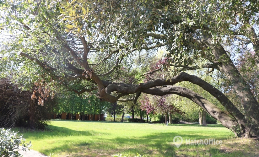 Business center  in Basingstoke, Lutyens Close, 450 m² - MatchOffice.co.uk