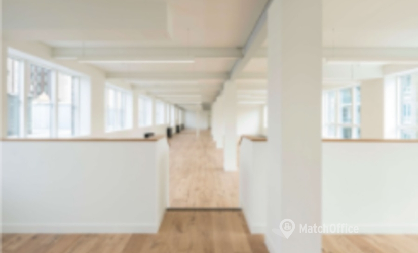 Business center Britannia Street WC1X 9JD The City of London