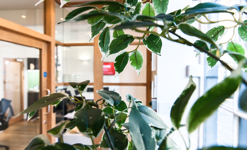 Virtual office 5 East St Helen Street OX14 5EG Abingdon