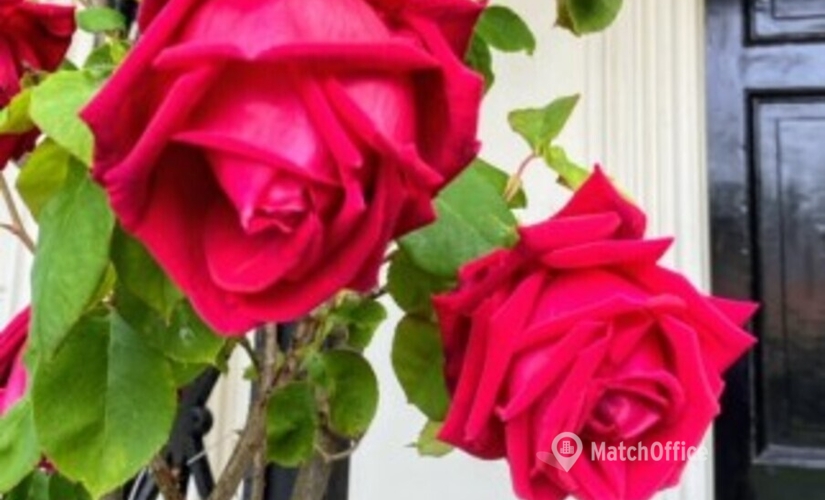 Business center Oxford Road RG14 1PA Reading