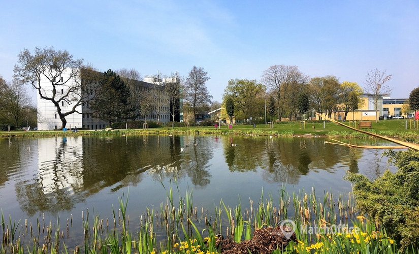 Business center Rutherford House, Warrington Road WA3 6ZH Cheshire