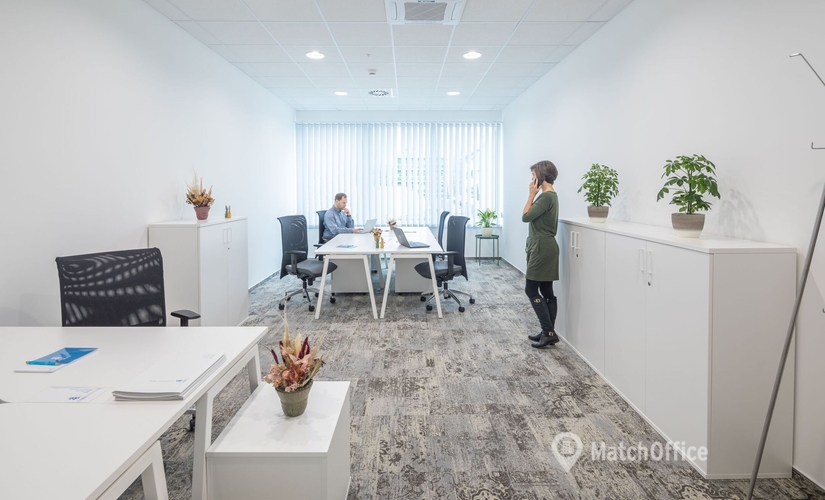 710 m² Business center in Debrecen, Barna St. 23 (4025) - 3 | MatchOffice.com