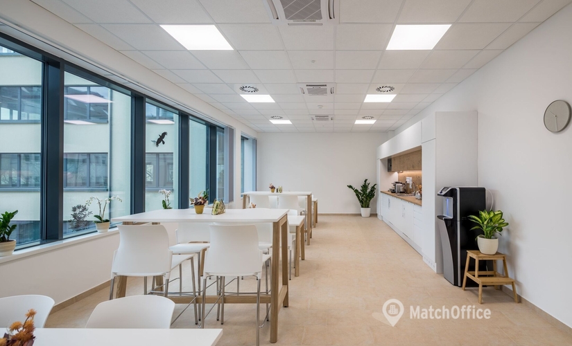 710 m² Business space in Debrecen, Barna St. 23 (4025) - 1 | MatchOffice.com