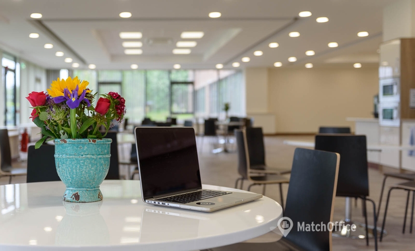 100 m² Co-working  in Dublin, Balheary Road (K67 E5A0) - 2 | MatchOffice