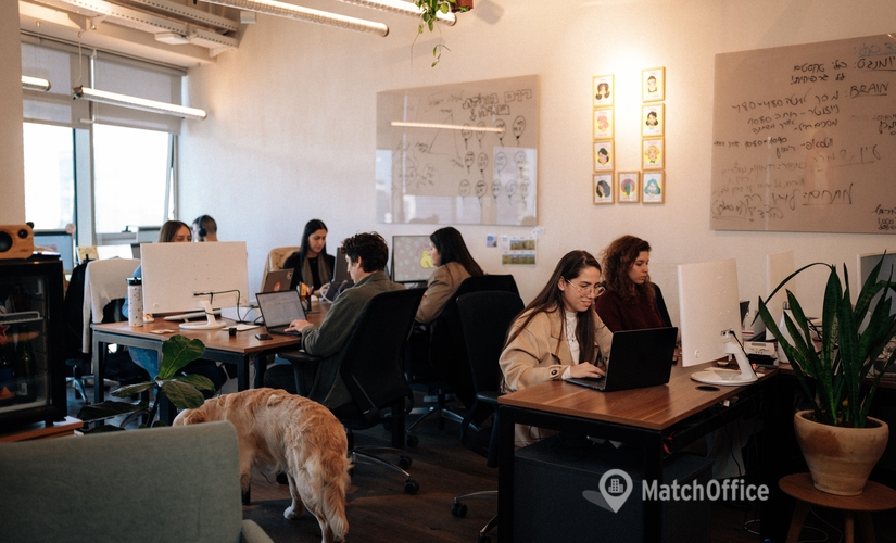 500 m² Coworking  in Tel Aviv, Hashlosha 2th street (6100000) - 1 | MatchOffice.com