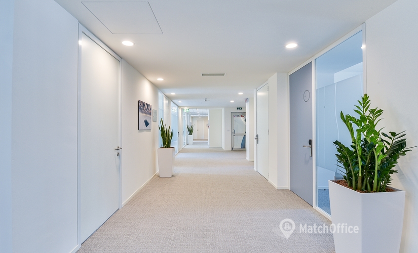 100 m² Business park in Milan, Via Uberto Visconti di Modrone 15 (20122) - 4 | MatchOffice