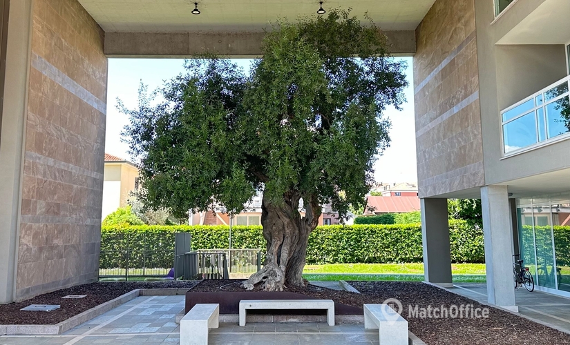 Uffici flessibili da affittare a Treviso di 30 m², Via Daniele Monterumici 10 - 1 | MatchOffice