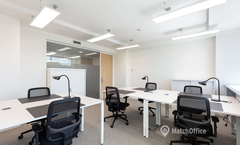 Business center Viale Luca Gaurico 91/93,Laurentina 00143 Rome City