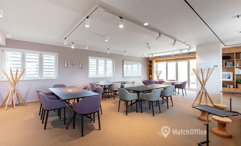 Business center Viale Luca Gaurico 91/93,Laurentina 00143 Rome City