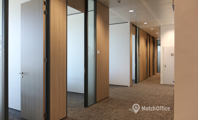 Salles de réunion 7 Avenue du Swing, Belval 4024 Esch-sur-Alzette