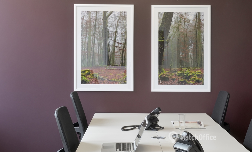 70 m² Shared office  in Luxembourg City, Rue de Turi (3378) - 3 | MatchOffice.com