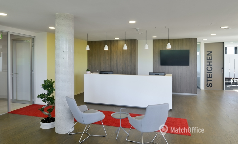 Business center Rue de Turi 3378 Luxembourg City