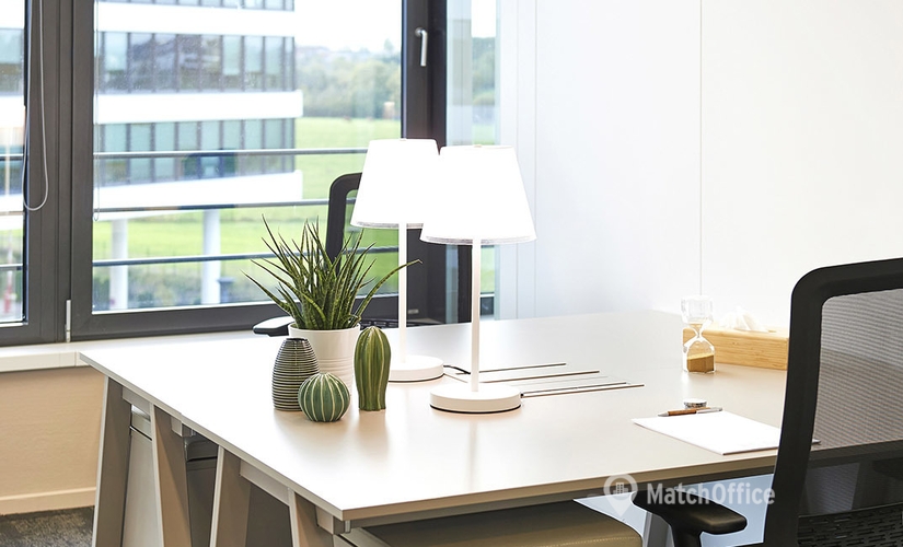 120 m² Coworking space in Luxembourg City, Impasse Drosbach (1882) - 2 | MatchOffice