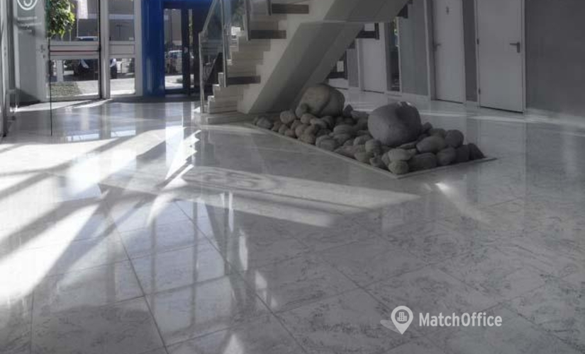 Business center Curieweg 7 3208 KJ Nissewaard