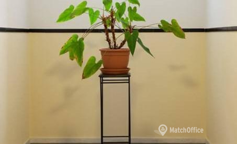 Rent a 50 m² Conference space in Nijmegen, Molenveldlaan 152 (6523 RN) - 4 | MatchOffice