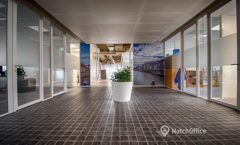 50 m² Business space place available to rent in Leiden, Schipholweg 103 (2316 XC) - 6 | MatchOffice