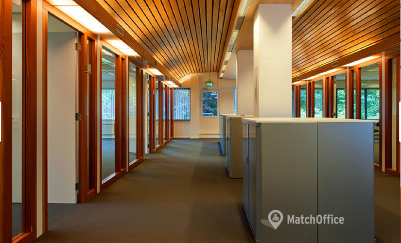 1500 m² Shared workspace  in Haarlem, Herenweg 115 (2105 MG) - 2 | MatchOffice.com