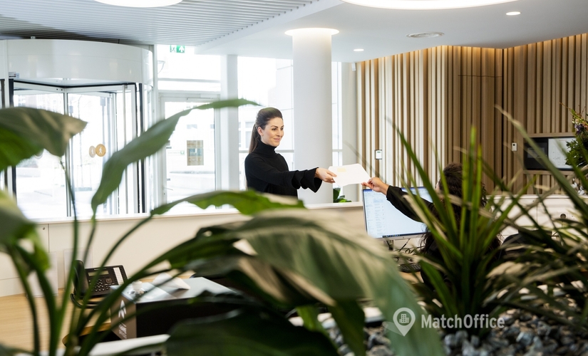 40 m² Serviced office in The Hague, Alexanderveld (2585 AN) - 2 | MatchOffice.com
