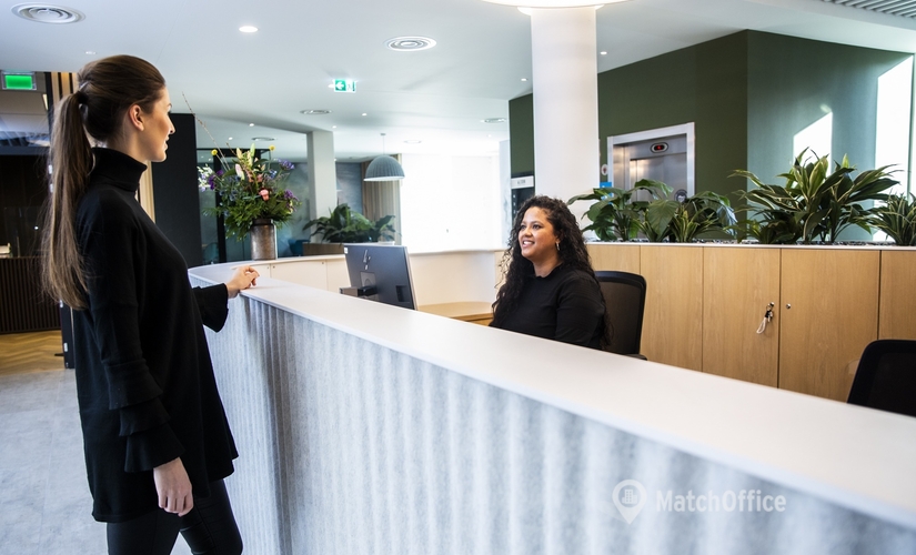 40 m² Serviced office in The Hague, Alexanderveld (2585 AN) - 1 | MatchOffice