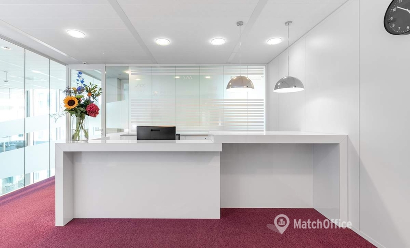 Meeting room Parnassusweg 819 1082 LZ Amsterdam-Zuid