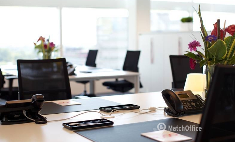 1000 m² Business center in Amsterdam South, Parnassusweg 819 (1082 LZ) - 3 | MatchOffice.com