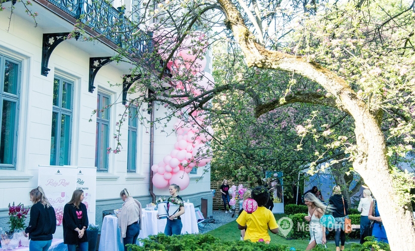 Virtuelle kontorløsninger i Inkognitogata 1, 0258 Oslo - 4 | MatchOffice.no