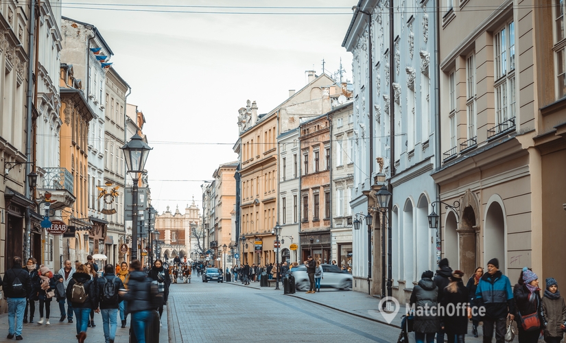 Centrum biznesowe Grodzka 42/1 31-044 Kraków