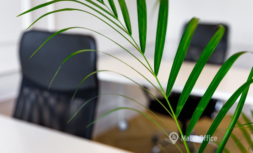 100 m² Coworking space  in Gdansk, aleja Grunwaldzka 26 (80-229) - 2 | MatchOffice