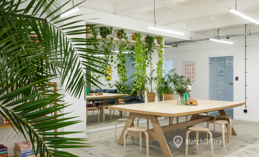 Biuro do wynajęcia w Krakow Podgórze