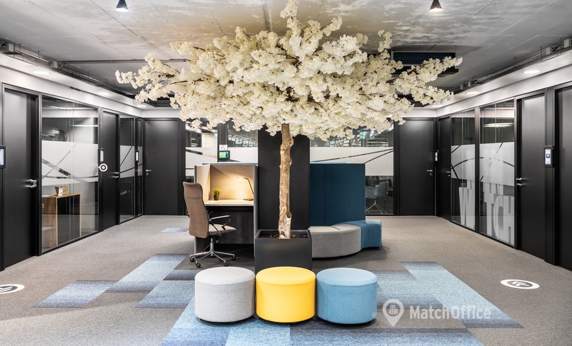 220 m² Business space in Lisbon, Maleo Liberdade (1250-096) - 3 | MatchOffice